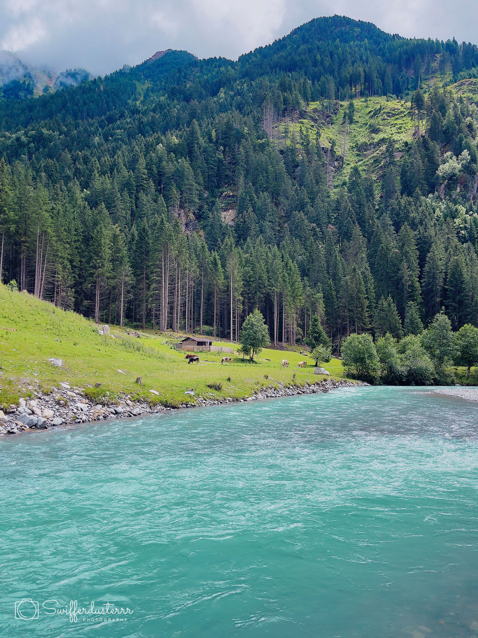 IMG_1230 47-Edited?timestamp=1670537816742