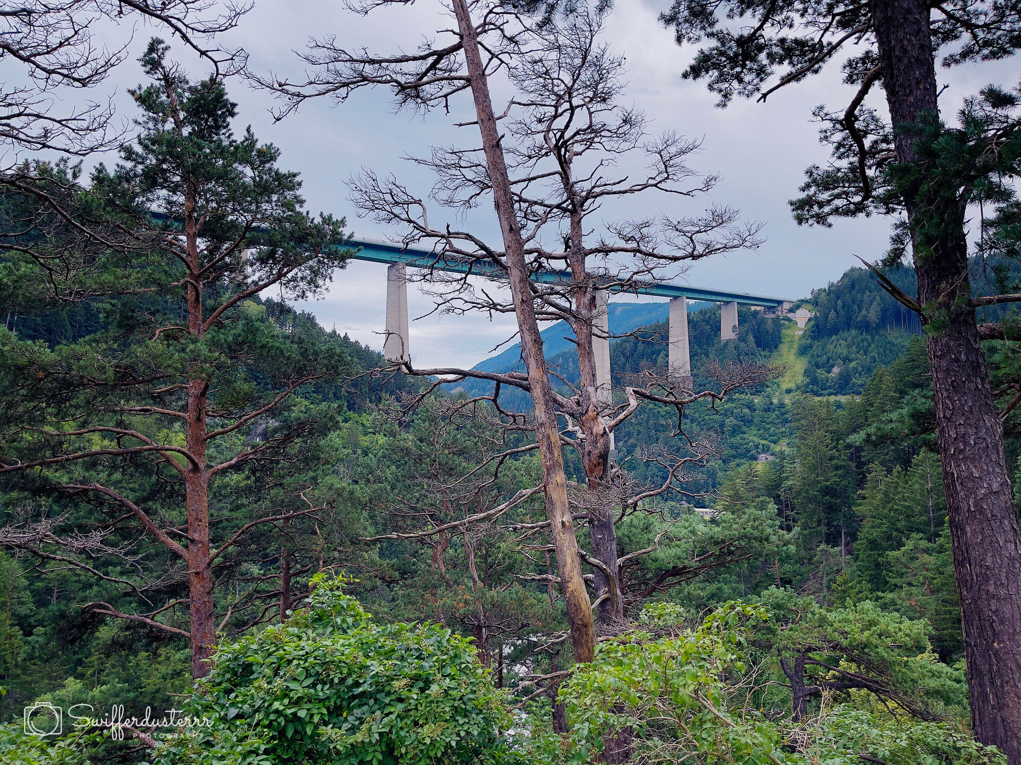 IMG_1261 55-Edited?timestamp=1670537817313