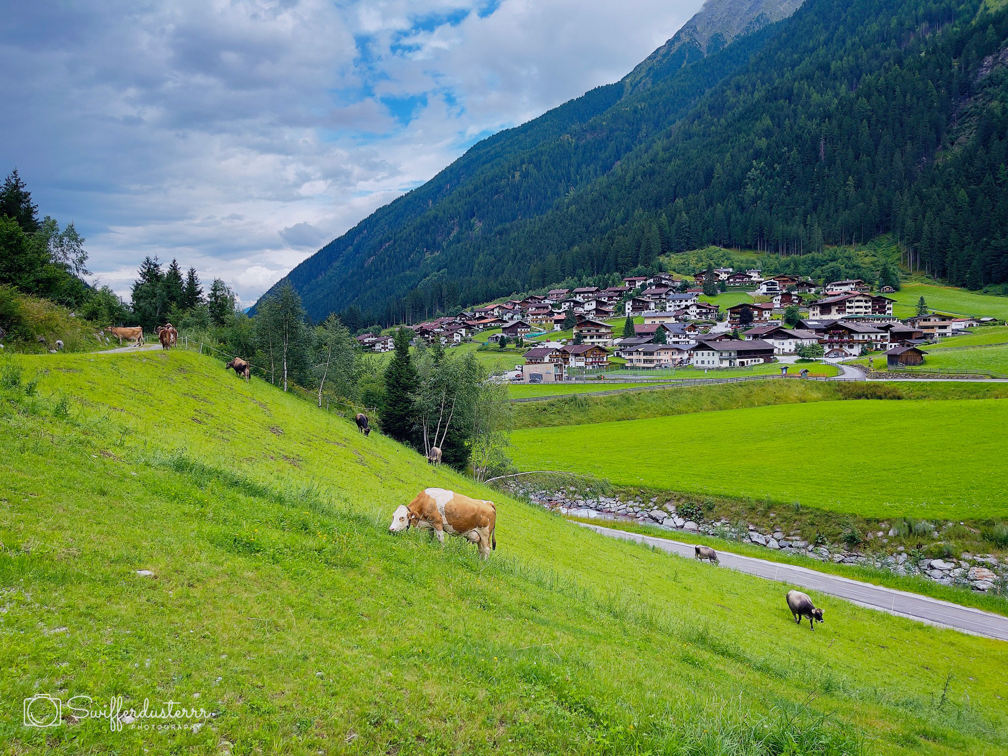 IMG_1303 60-Edited?timestamp=1670537817314