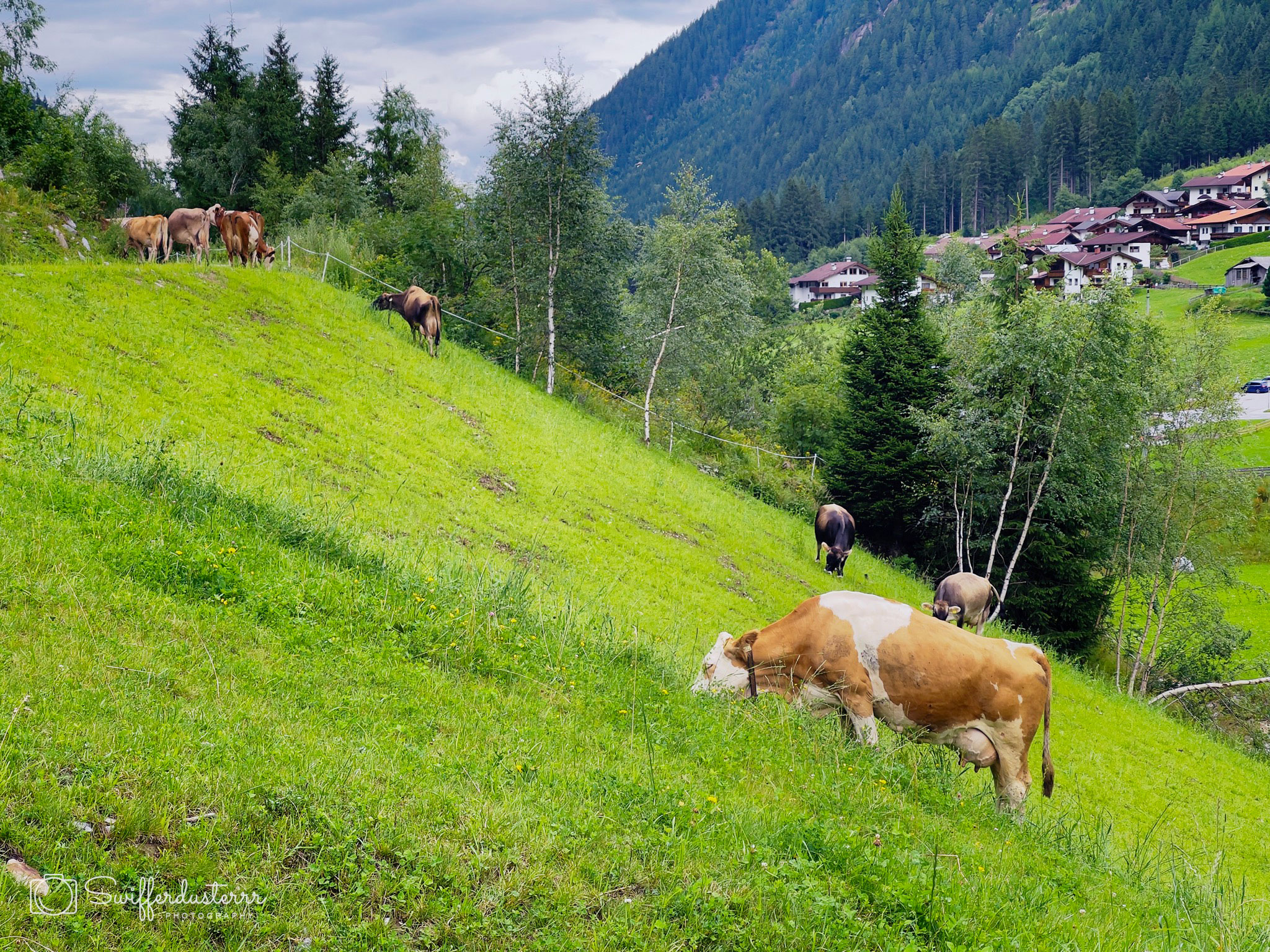 IMG_1304 61-Edited?timestamp=1670537817314