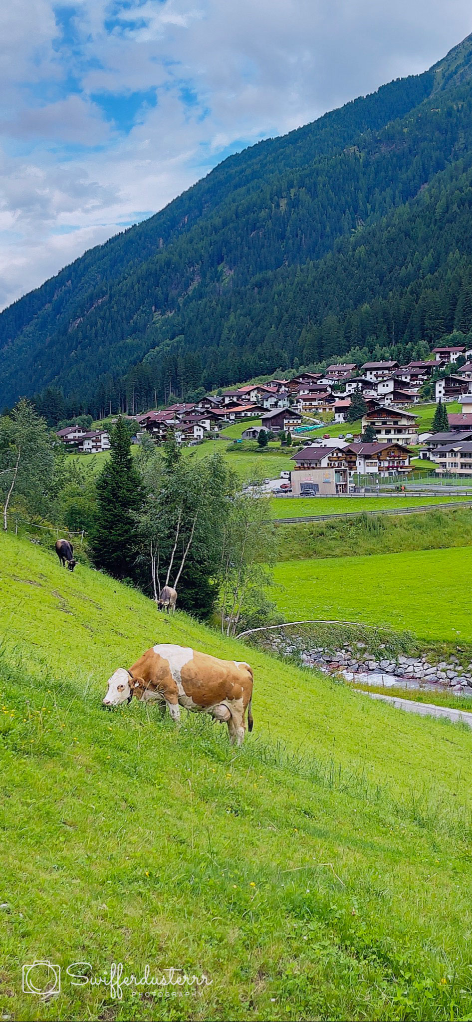 IMG_0342 Edited%20MWM